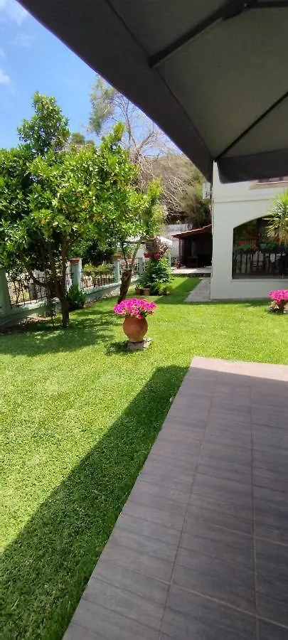 Dimitris Villas -Villa 5 奥马斯帕纳吉亚斯